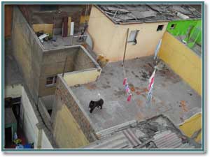 Лима - город, в основном, невысоких зданий. И во избежание воров, собак зачастую держат на крышах
