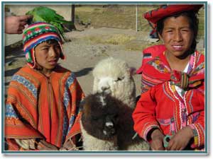 Четверо друзей. Маленькие индейцы в Перу очень трогательно привязаны к своим питомцам