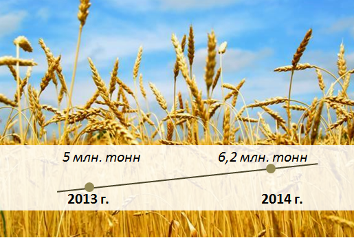 Зерновые рынки - Казахстан освобождается от Черного моря, благодаря железной дороге