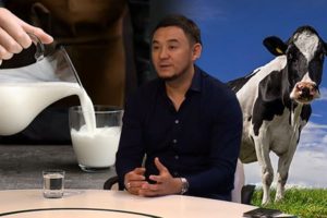 Сухие молочные смеси от казахстанских производителей признаны в мире