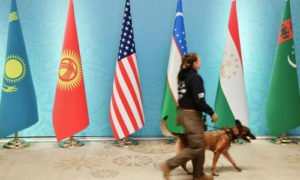 Центральная Азия +США