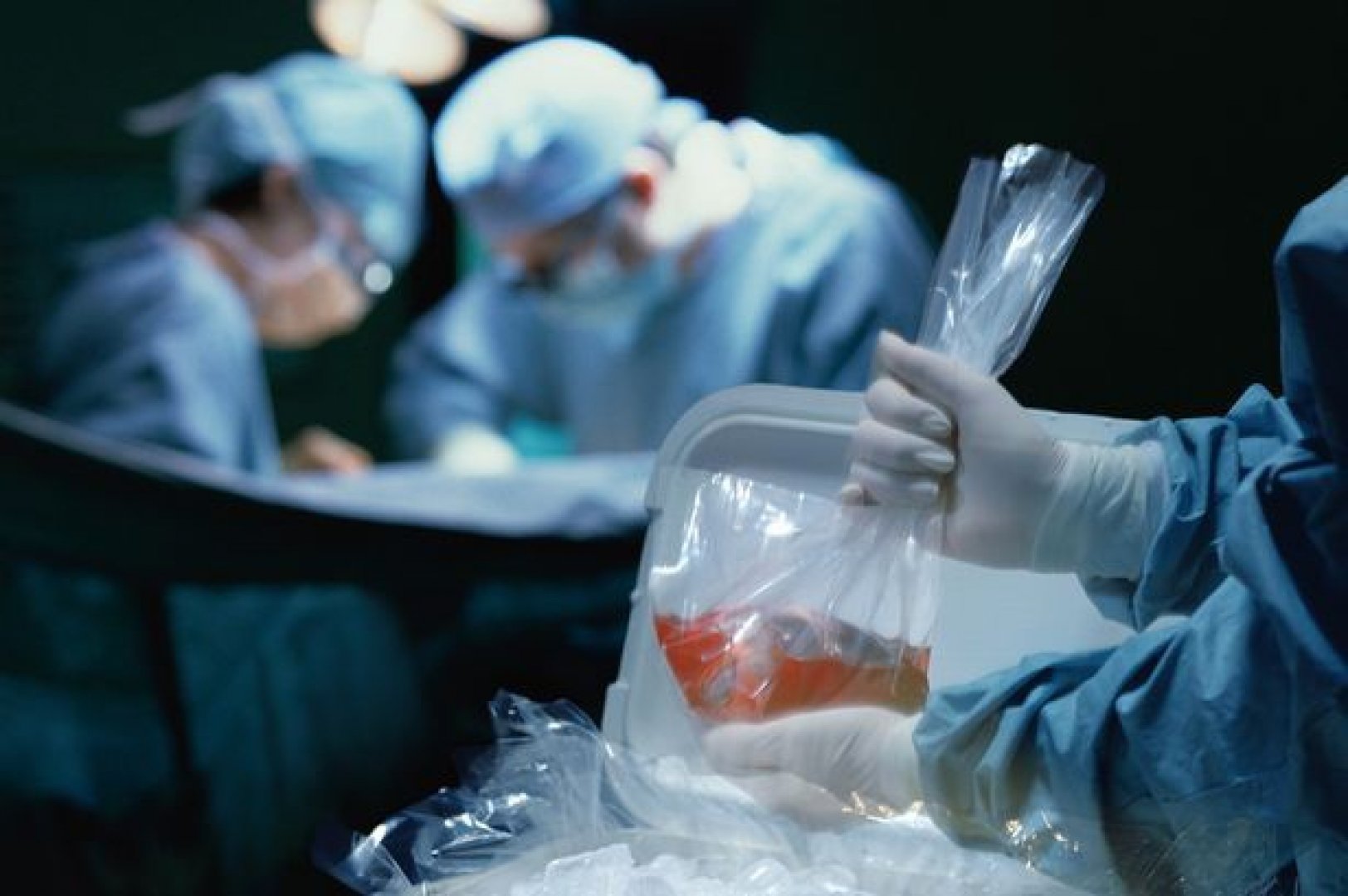 Донорство органов в россии. Трансплантация органов и тканей. Трансплантация органов и тканей человека. Трансплантология органов и ткани. Консервирование тканей и органов.